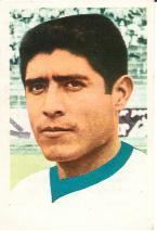 Guillermo Castro (footballer) cardslittleoakcomau197071fksmexico099guill