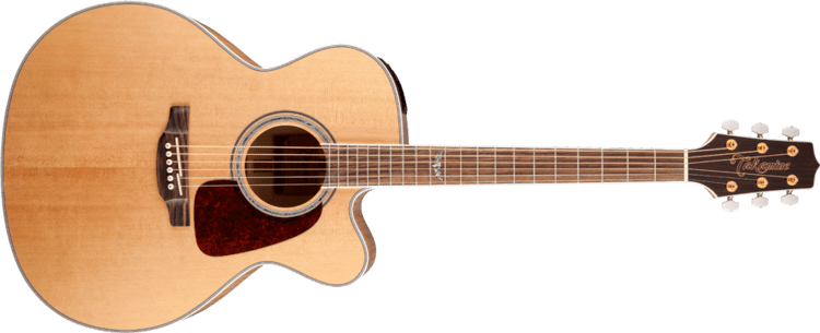 Guitar Takamine Guitars GSeries Guitars