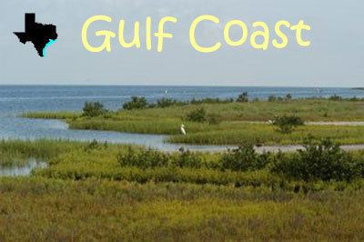 Gulf Coast of the United States tpwdtexasgovkidsabouttexasimagesregionsgul