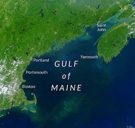 Gulf of Maine httpswwwgulfofmaineorg2wpcontentuploads2