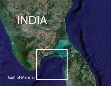 Location of Gulf of Mannar