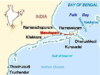 Mandapam study area map