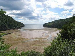 Gulf of St. Lawrence lowland forests httpsuploadwikimediaorgwikipediacommonsthu
