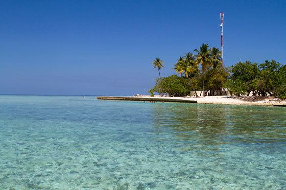 Gulhi (Kaafu Atoll) tropictreemaldivescomwpcontentuploads201409