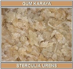 Gum karaya Gum Karaya Manufacturers Suppliers amp Exporters