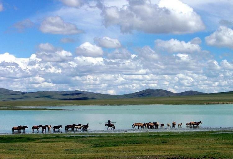 Gun-Galuut Nature Reserve Gn Galuut natural reserve Mongolia Travel Guide Horseback Mongolia