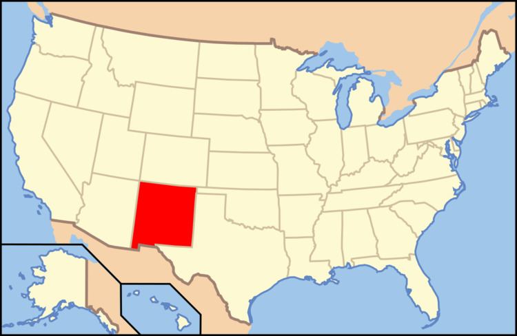 Gun laws in New Mexico