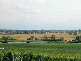 Gundolsheim httpsuploadwikimediaorgwikipediacommonsthu