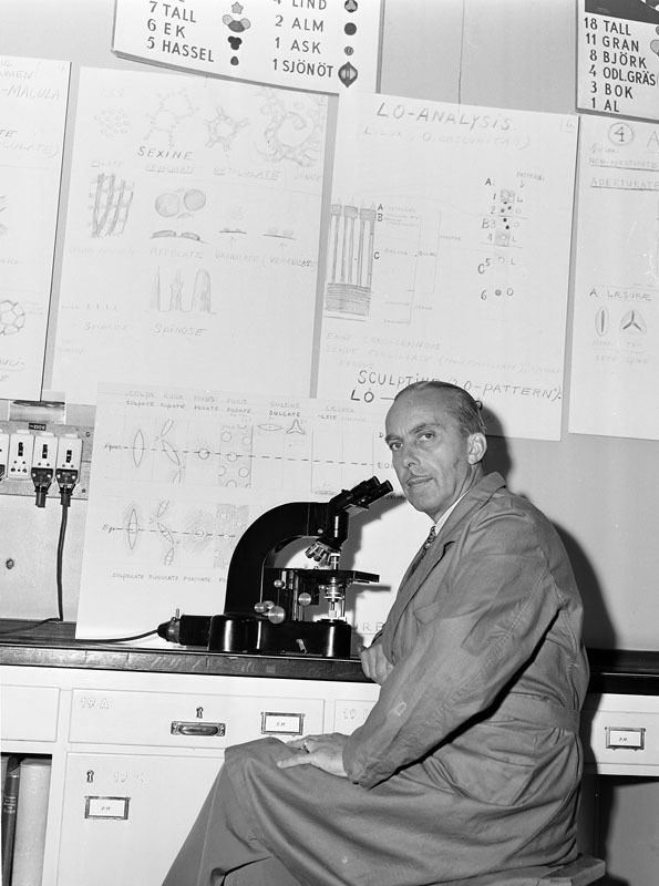 Gunnar Erdtman Portrtt av Dr Gunnar Erdtman i sitt Palynologiska laboratorium