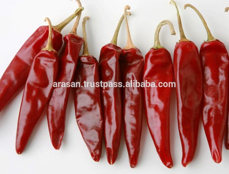 Guntur chilli Guntur Red Chilli Guntur Red Chilli Suppliers and Manufacturers at