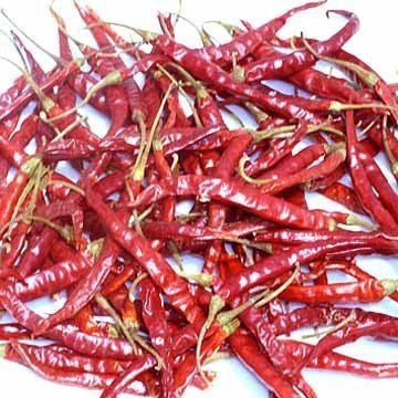 Guntur chilli guntur chillies suppliersexporters on 21foodcom