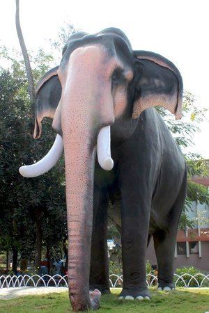 Guruvayur Keshavan Guruvayoor kesavan elephant Picture of Guruvayur Temple Guruvayur
