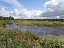 Gus-Khrustalny District httpsuploadwikimediaorgwikipediacommonsthu
