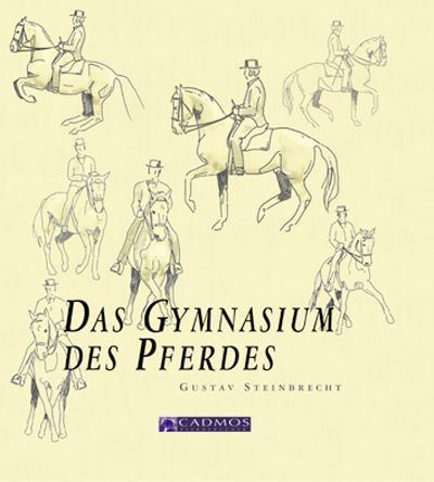 Gustav Steinbrecht Reading and Riding