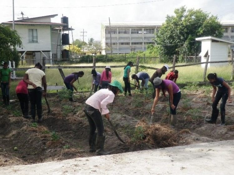 Guyana School of Agriculture Demonic forces attack School of Agriculture News Source Guyana