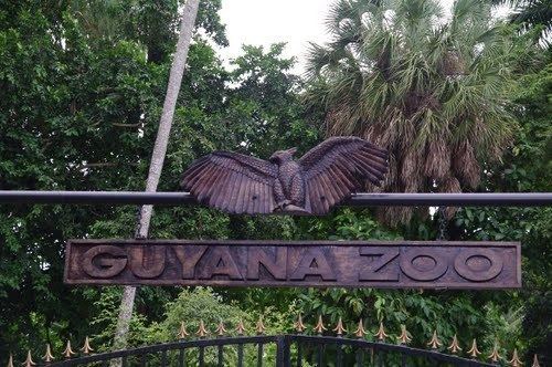 Guyana Zoo Guide Georgetown in Guyana DemeraraMahaica Tripmondo