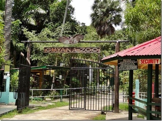 Guyana Zoo httpszinctopcomwpcontentuploads201404Guy