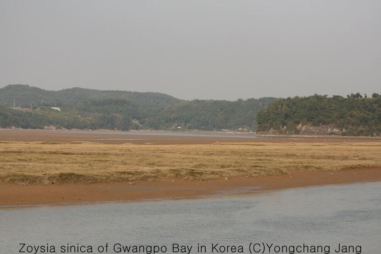 Gwangpo Bay