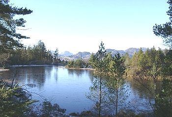 Gwydir Forest httpsuploadwikimediaorgwikipediacommonsthu