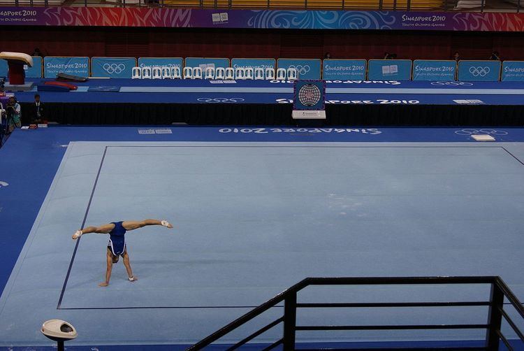 Gymnastics at the 2010 Summer Youth Olympics – Men's floor