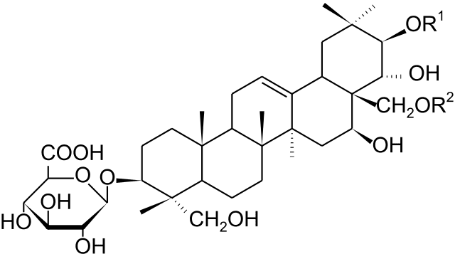 Gymnemic acid Herbal Extracts For Gymnema Sylvestre Gurmar phytochemical India