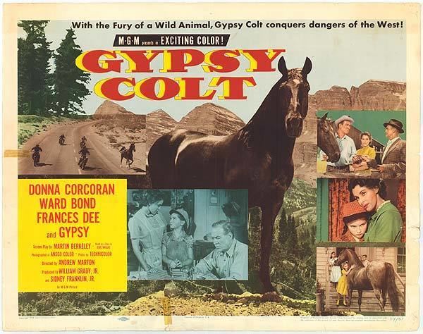 Gypsy Colt Gypsy Colt movie posters at movie poster warehouse moviepostercom