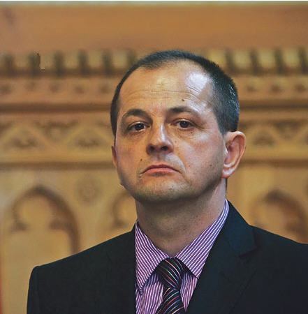 Gyula Budai The failure of Gyula Budais investigations of corruption