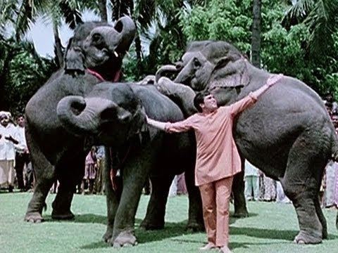 Duniya Mein Rehna Hai Toh Video Song Haathi Mere Saathi Rajesh