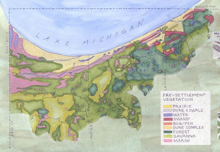 Habitats of the Indiana Dunes