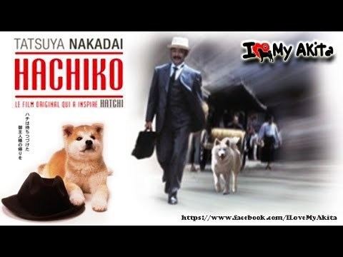 Hachiko Monogatari Hachik monogatari sub ita YouTube