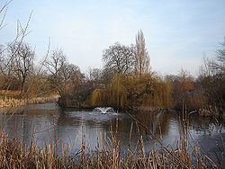 Hackney Brook httpsuploadwikimediaorgwikipediacommonsthu