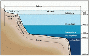 Hadal zone ellermanscience5 location of the hadal zone