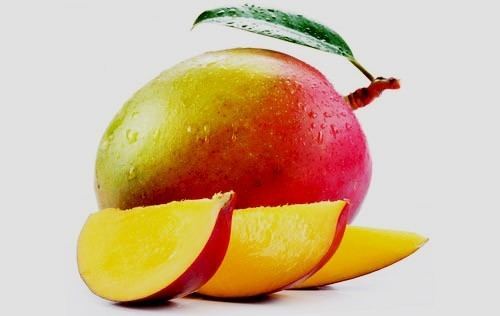 Haden (mango) Mango Tree Haden Variety Grafted