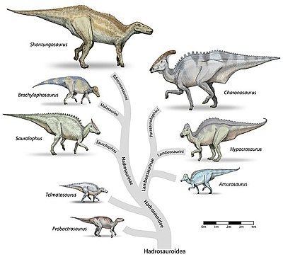 Hadrosaurid Hadrosaurid Wikipedia