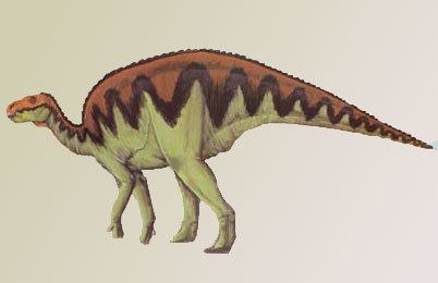Hadrosaurid Hadrosaurids Dinosaur Facts information Dinosaur discovery