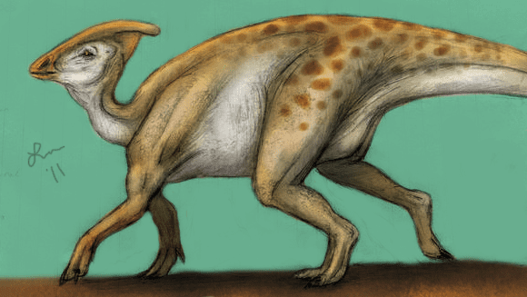 Hadrosaurid Hadrosaurid by Cheddarness8 on DeviantArt