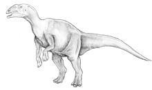 Hadrosaurus httpsuploadwikimediaorgwikipediacommonsthu