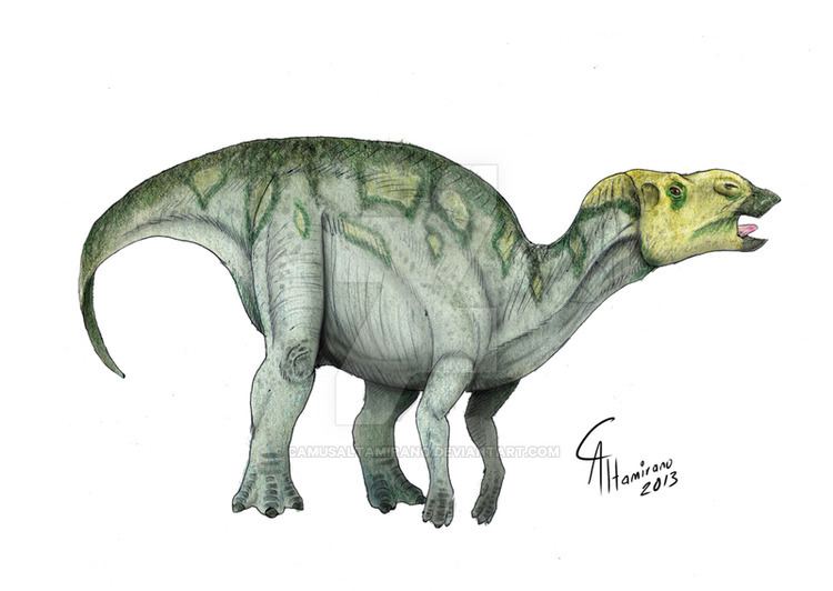 Hadrosaurus Hadrosaurus Facts and Pictures