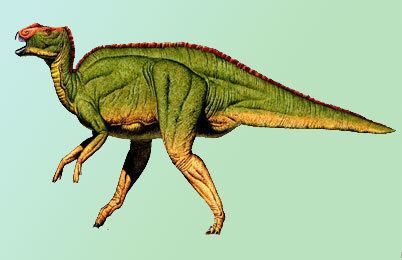 Hadrosaurus Hadrosaurus Dinosaur information facts Dinosaur theories