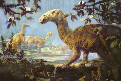 Hadrosaurus dinosaur pictures Hadrosaurus