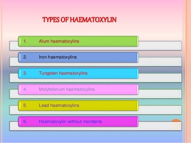 Haematoxylin Haematoxylin and its typesppt