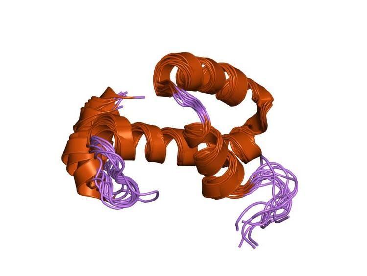Haemolysin expression modulating protein family