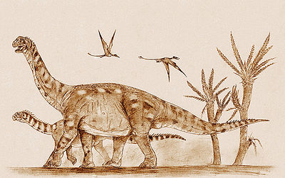 Haestasaurus Haestasaurus becklesii A Dinosaur A Day
