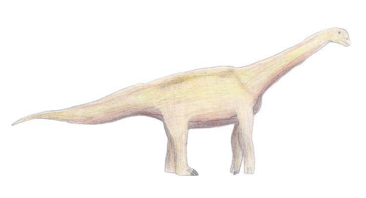 Haestasaurus FileHaestasaurus life restorationjpg Wikimedia Commons
