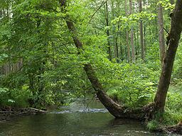 Hafenlohr (river) httpsuploadwikimediaorgwikipediacommonsthu