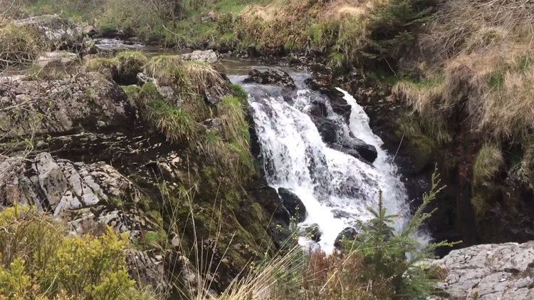 Hafren Forest Hafren Forest Llanidloes Mid Wales UK