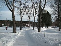 Haga, Umeå httpsuploadwikimediaorgwikipediacommonsthu
