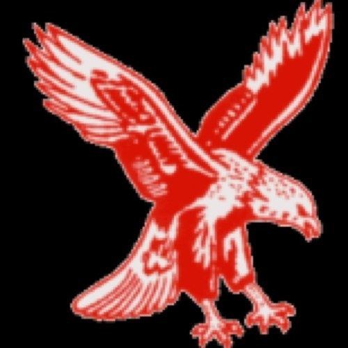 Hagersville Hawks httpspbstwimgcomprofileimages3788000001106