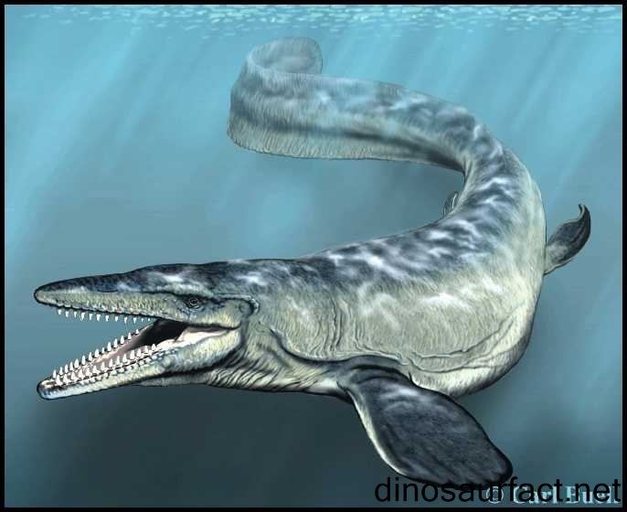 Hainosaurus Hainosaurus dinosaur