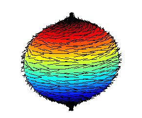 Hairy ball theorem